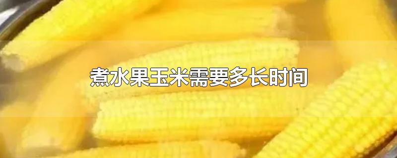 煮水果玉米需要多长时间