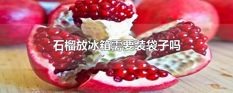 石榴放冰箱需要装袋子吗