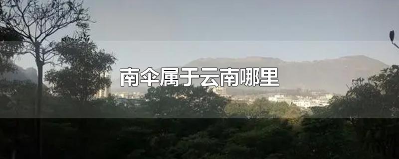 南伞属于云南哪里