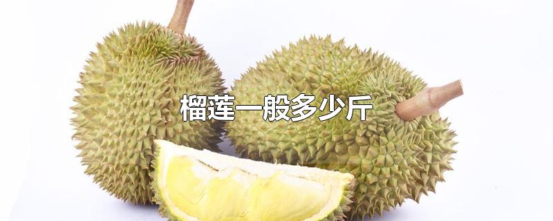 榴莲一般多少斤