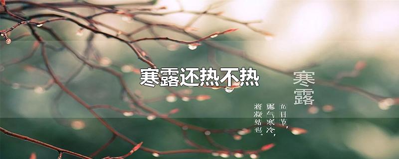寒露还热不热