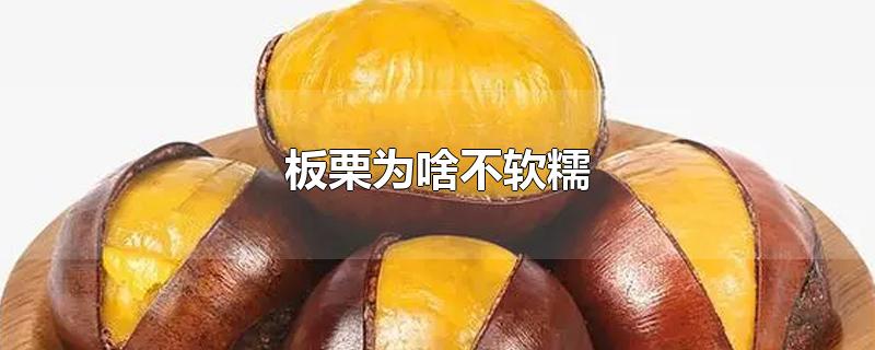 板栗为啥不软糯