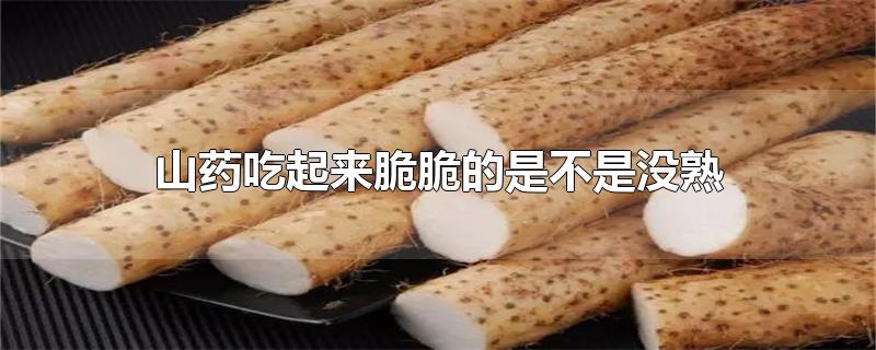 山药吃起来脆脆的是不是没熟