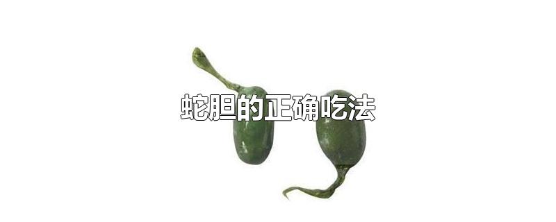 蛇胆的正确吃法