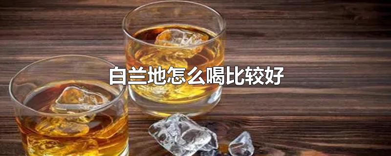 白兰地怎么喝比较好