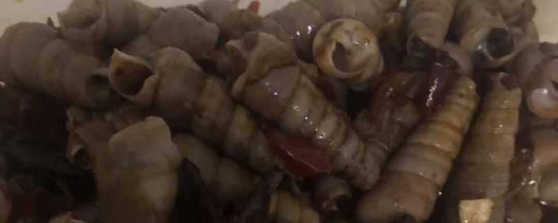 螺丝吃哪个部位