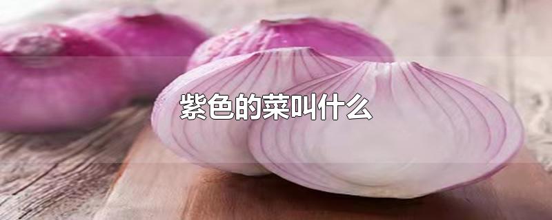 紫色的菜叫什么