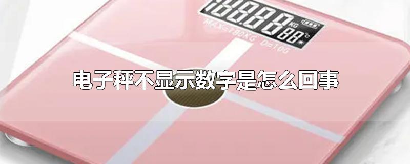 电子秤不显示数字是怎么回事