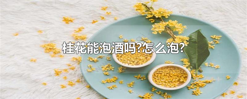 桂花能泡酒吗?怎么泡?