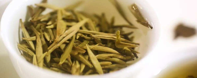 茶叶中的白亳是什么