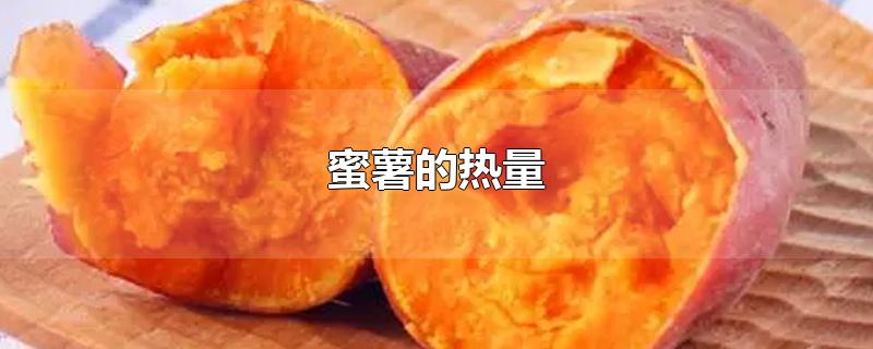 蜜薯的热量