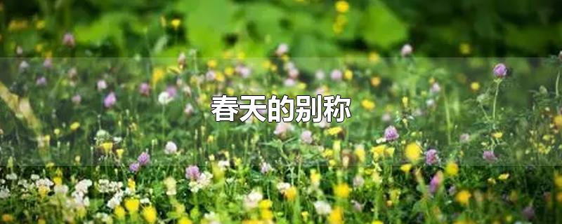 春天的别称