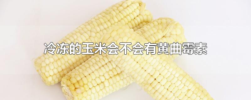 冷冻的玉米会不会有黄曲霉素