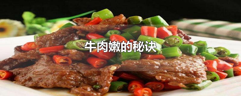 牛肉嫩的秘诀
