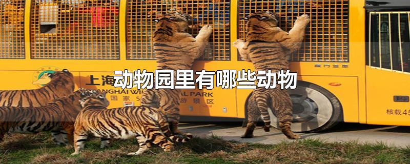 动物园里有哪些动物