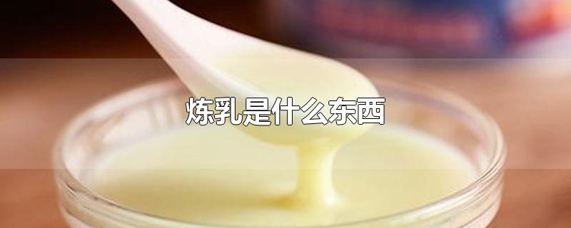 炼乳是什么东西