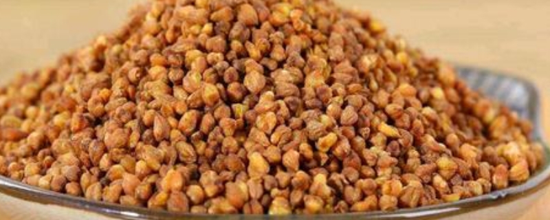 黑苦荞全胚芽茶什么茶叶