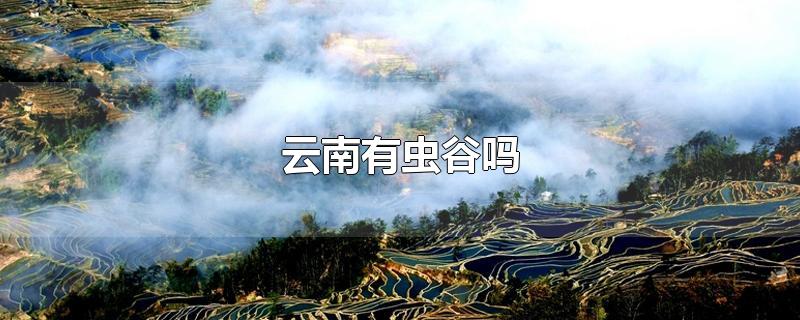 云南有虫谷吗