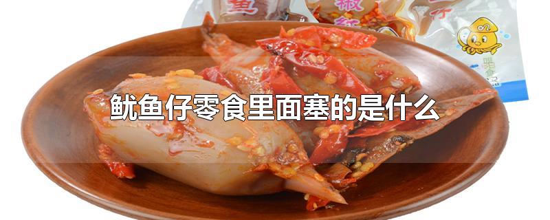 鱿鱼仔零食里面塞的是什么