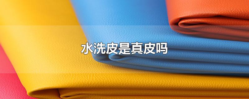 水洗皮是真皮吗