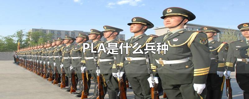 PLA是什么兵种