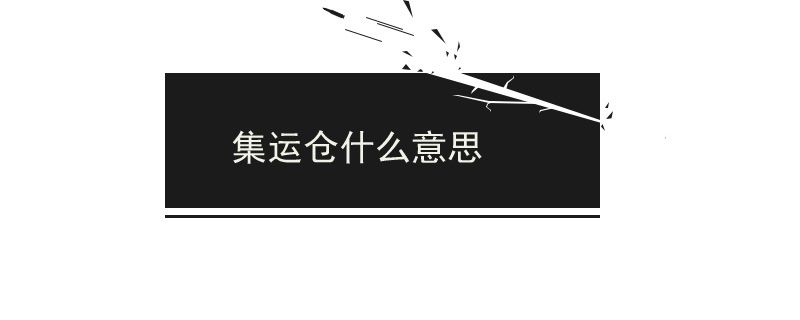 集运仓什么意思