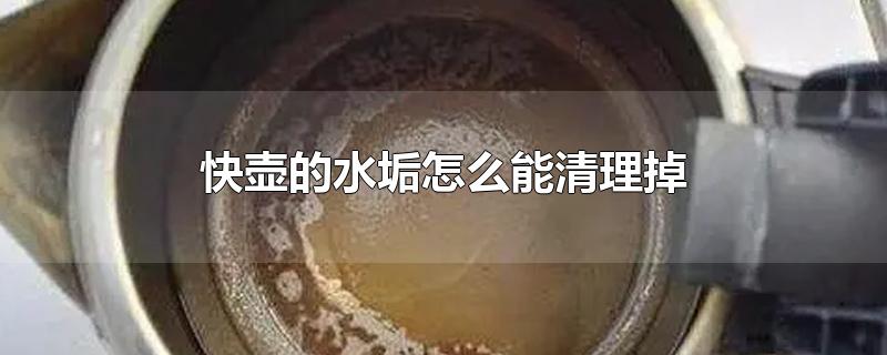 快壶的水垢怎么能清理掉
