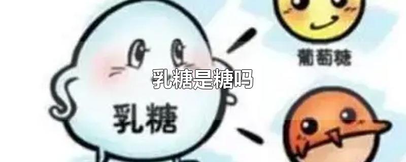 乳糖是糖吗