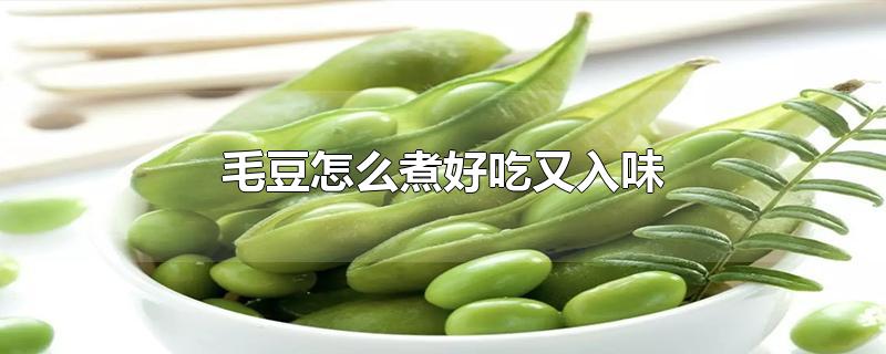 毛豆怎么煮好吃又入味