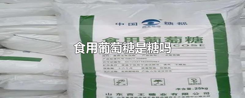 食用葡萄糖是糖吗