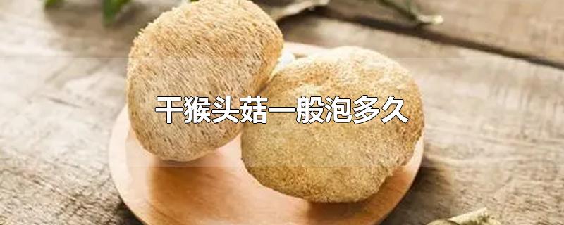 干猴头菇一般泡多久