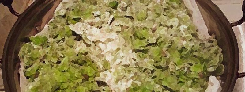 蒸榆钱用面还是玉米面