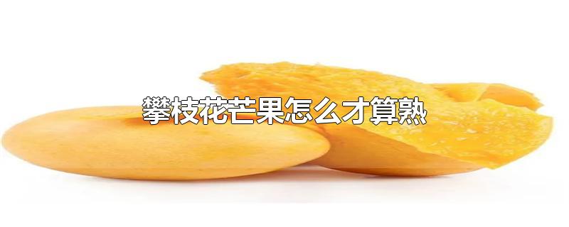 攀枝花芒果怎么才算熟