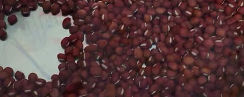 红豆薏米可以反复加水煮吗