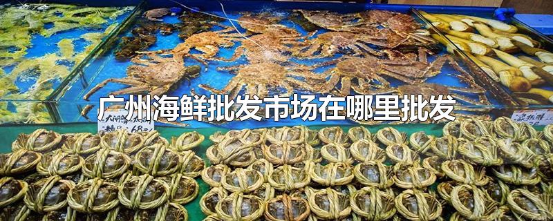 广州海鲜批发市场在哪里批发