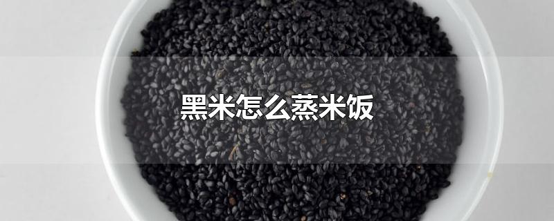 黑米怎么蒸米饭