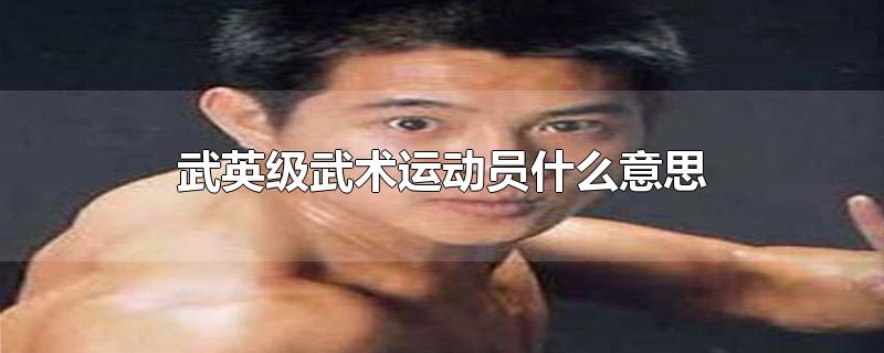 武英级武术运动员什么意思