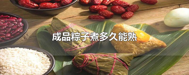 成品粽子煮多久能熟