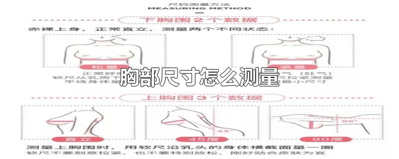 胸部尺寸怎么测量