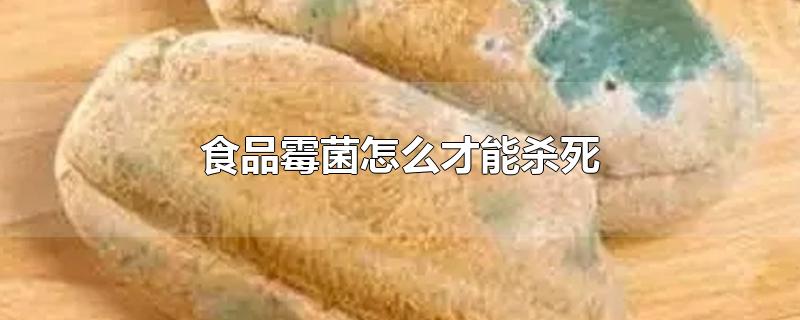 食品霉菌怎么才能杀死