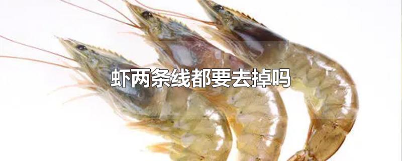 虾两条线都要去掉吗
