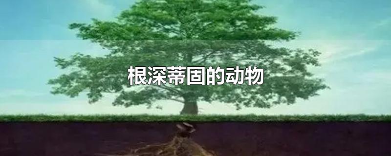 根深蒂固的动物