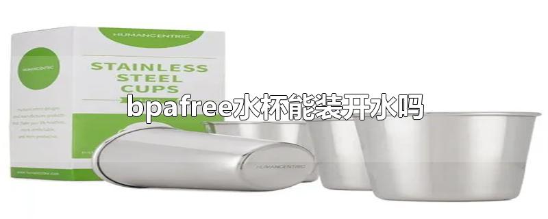 bpafree水杯能装开水吗