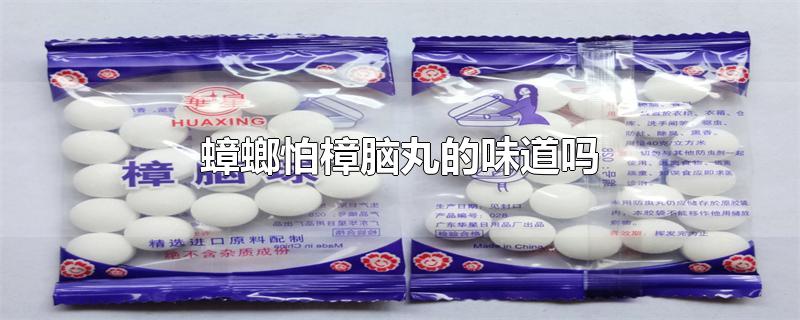 蟑螂怕樟脑丸的味道吗