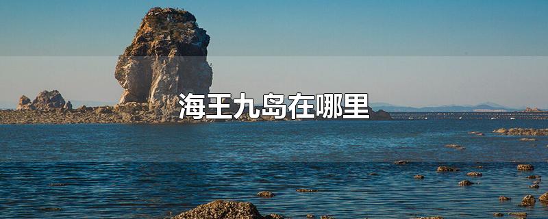 海王九岛在哪里