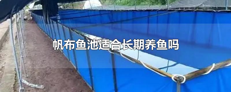 帆布鱼池适合长期养鱼吗