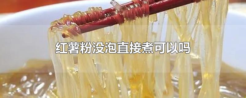 红薯粉没泡直接煮可以吗