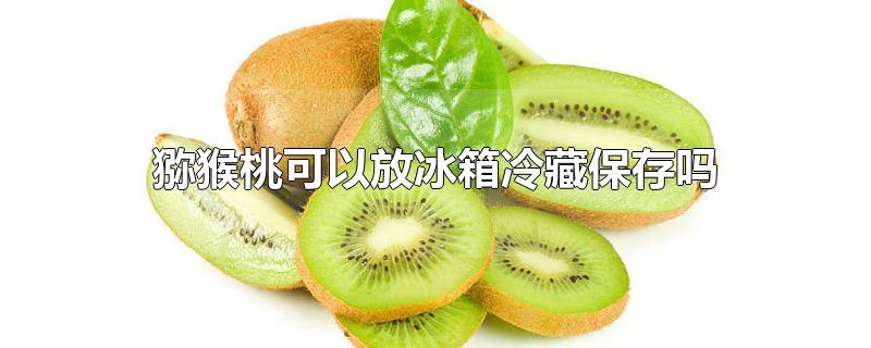 猕猴桃可以放冰箱冷藏保存吗