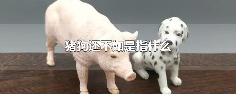 猪狗还不如是指什么