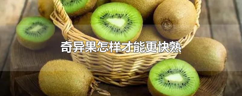 奇异果怎样才能更快熟